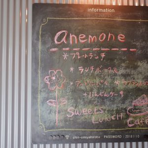 anemone cafe – 11/27　ありがとうございました