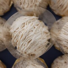 anemone cafe 開店します 2025/11/22 (土)