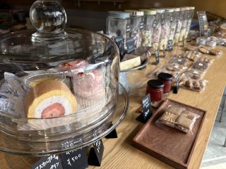anemone cafe
